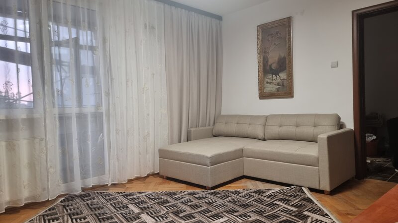 Dristor 8 minute Metrou, Camil Ressu,